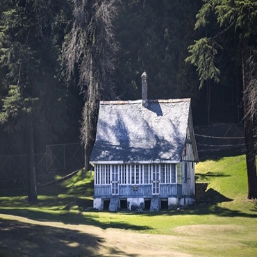 Shimla Manali Dalhousie – 7D